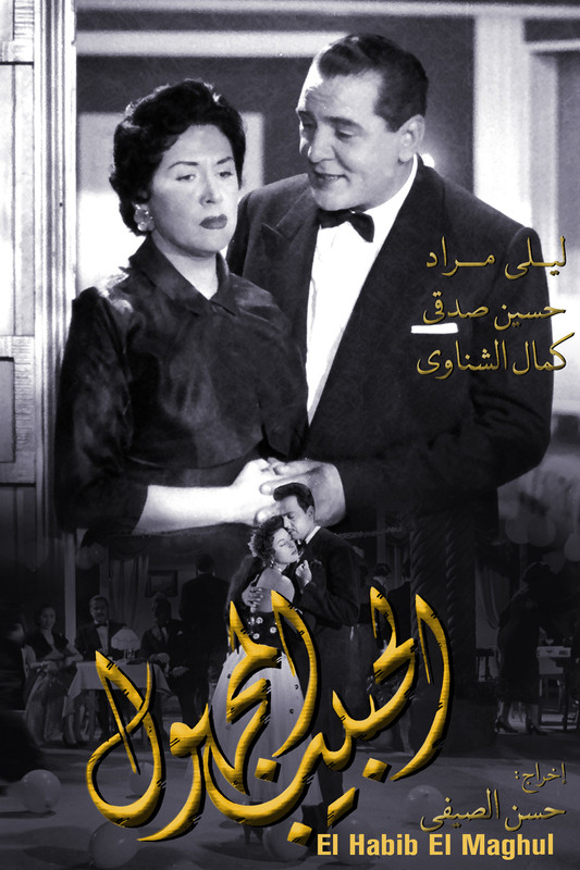 مشاهدة فيلم الحبيب المجهول