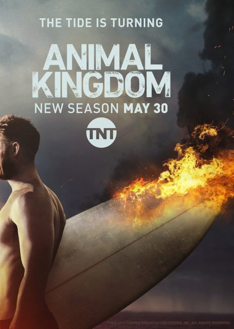 مشاهدة مسلسل Animal Kingdom الموسم الثاني الحلقة 12 مترجمة