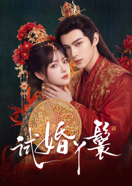مشاهدة مسلسل خادمة المحاكمة The Trial Handmaiden الحلقة 9 مترجمة
