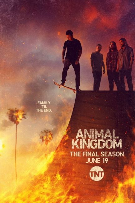 مشاهدة مسلسل Animal Kingdom الموسم السادس الحلقة 4 مترجمة