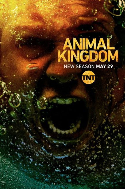 مشاهدة مسلسل Animal Kingdom الموسم الثالث الحلقة 12 مترجمة
