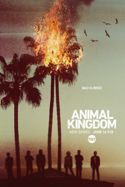 مشاهدة مسلسل Animal Kingdom الموسم الاول الحلقة 6 مترجمة
