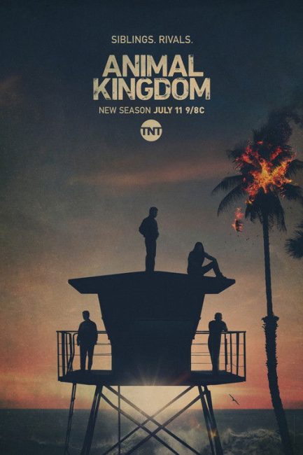 مشاهدة مسلسل Animal Kingdom الموسم الخامس الحلقة 3 مترجمة