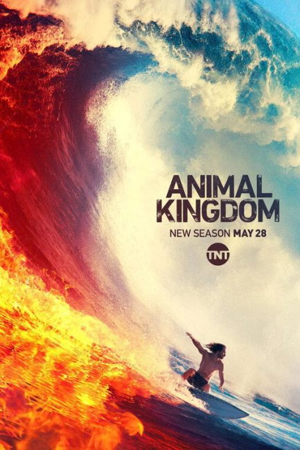 مشاهدة مسلسل Animal Kingdom الموسم الرابع الحلقة 11 مترجمة